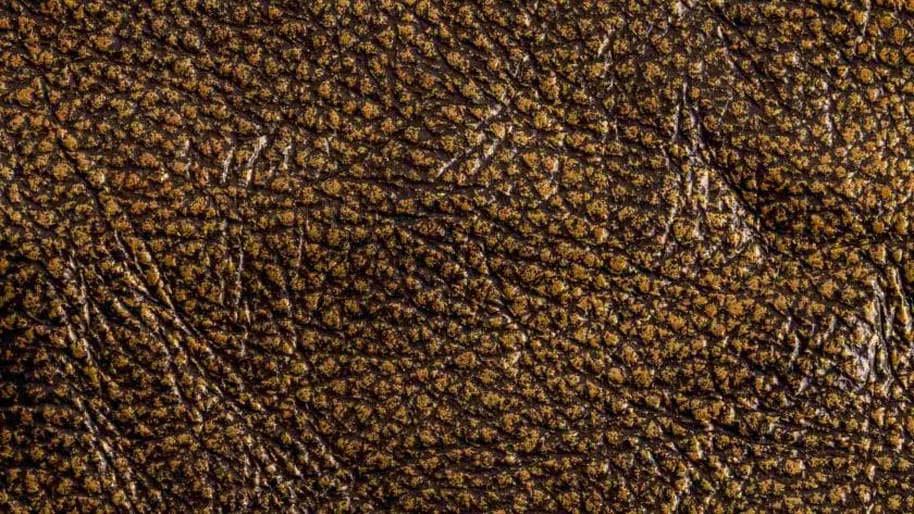 What Is Pebbled Leather? (Explained)
