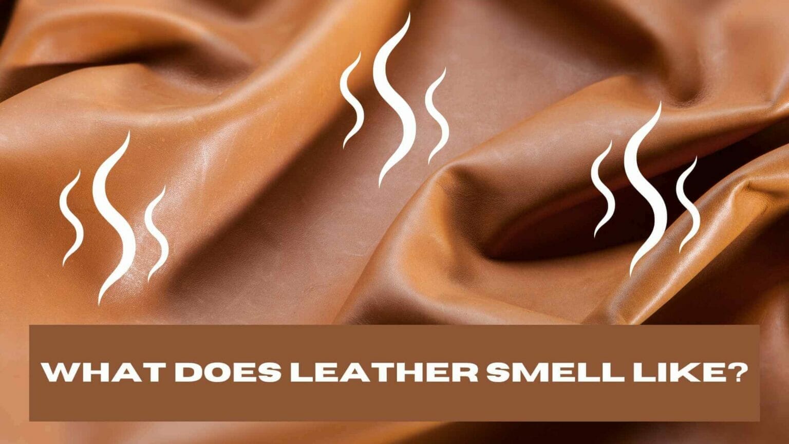 How To Get Rid Of Musty Smell On Leather Sofa Latest Sofa Pictures