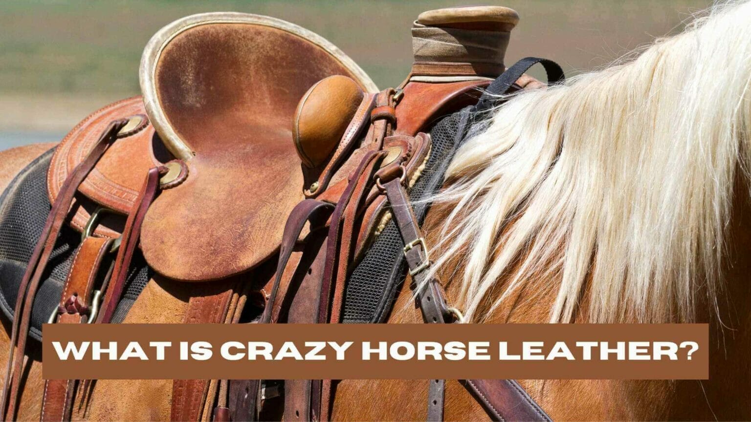 What is Crazy Horse Leather? (A Guide)