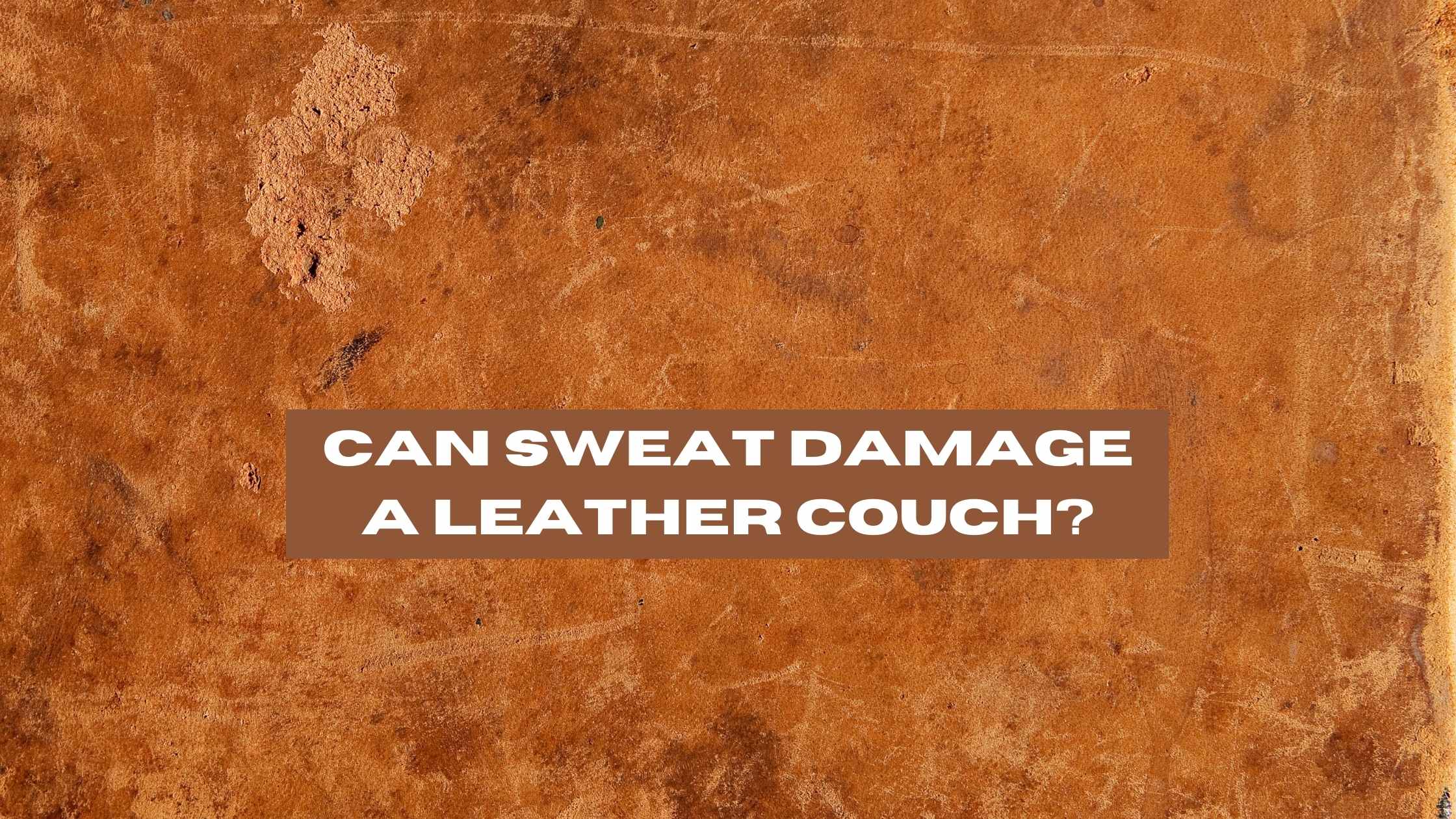 Can Sweat Damage a Leather Couch? Effects and Solutions